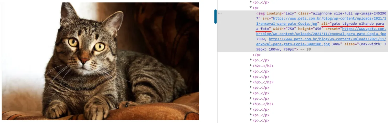 imagem no site com alt text em destaque no html